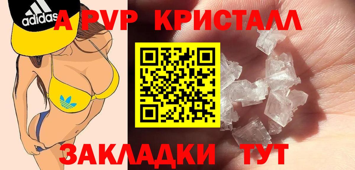 Alfa_PVP СК Дубна