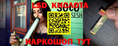 2c-b Камышлов