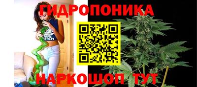 спиды Кандалакша