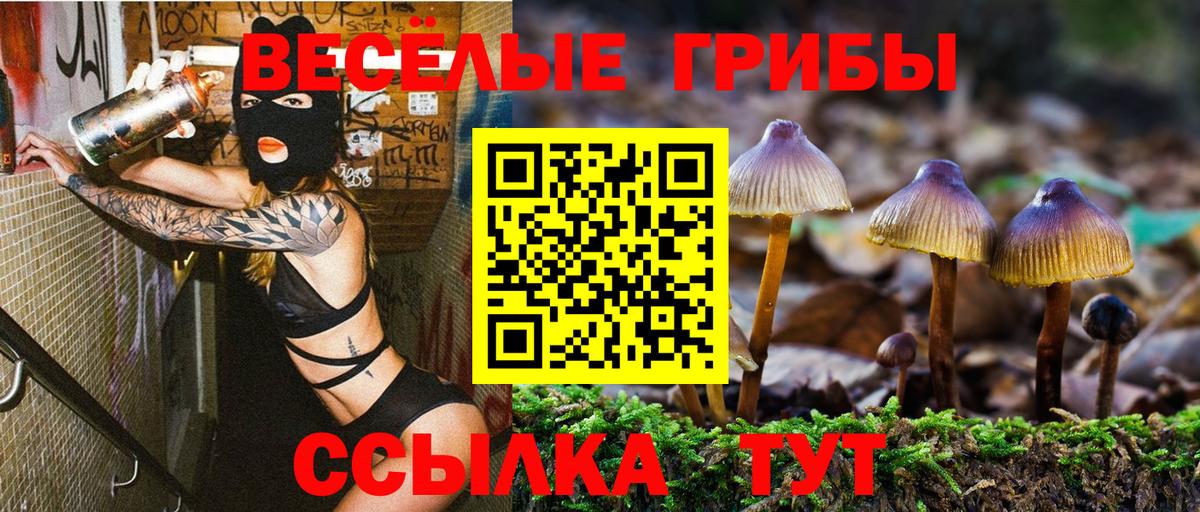 Псилоцибиновые грибы мухоморы  Вход с VPN  Дубна 